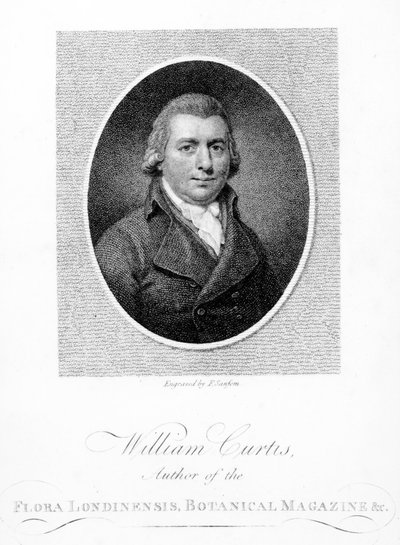 William Curtis, grawerowany przez F. Sansoma, 1790 autorstwa English School